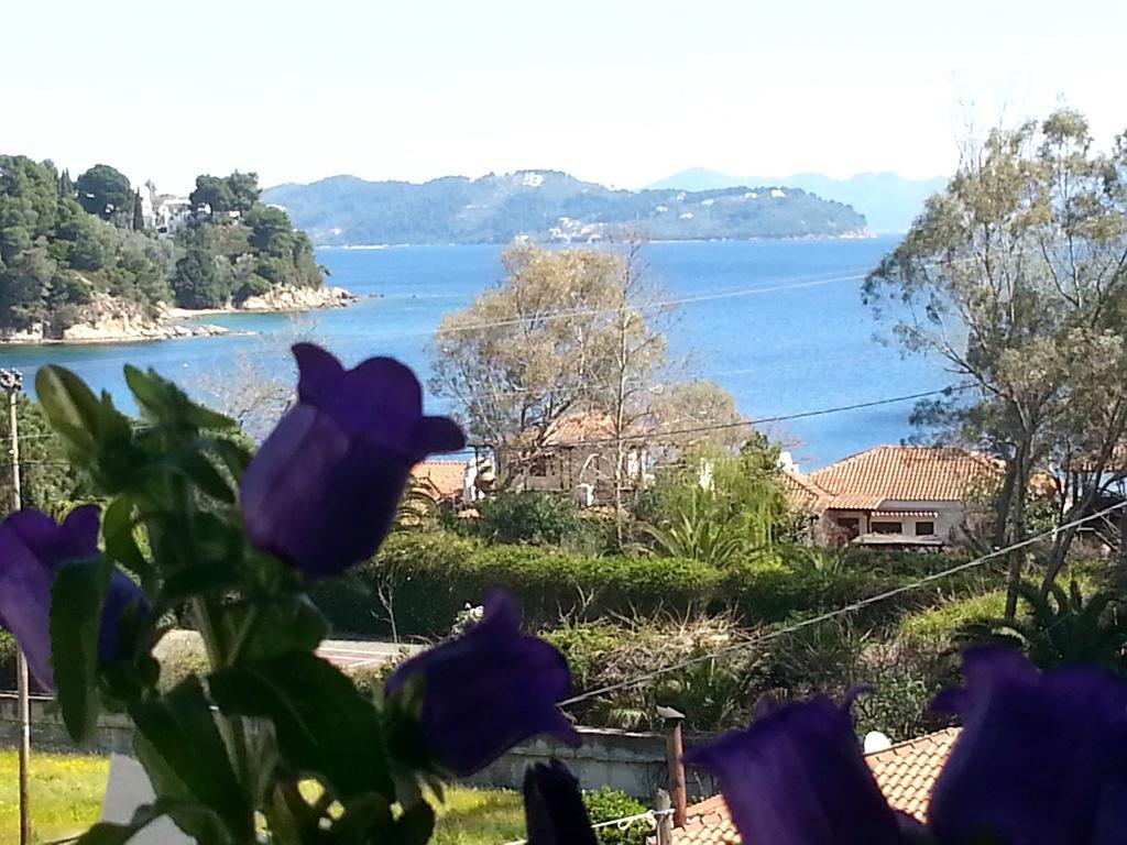 Tzaneria Apartments Skiathos Kanapitsa  Eksteriør billede